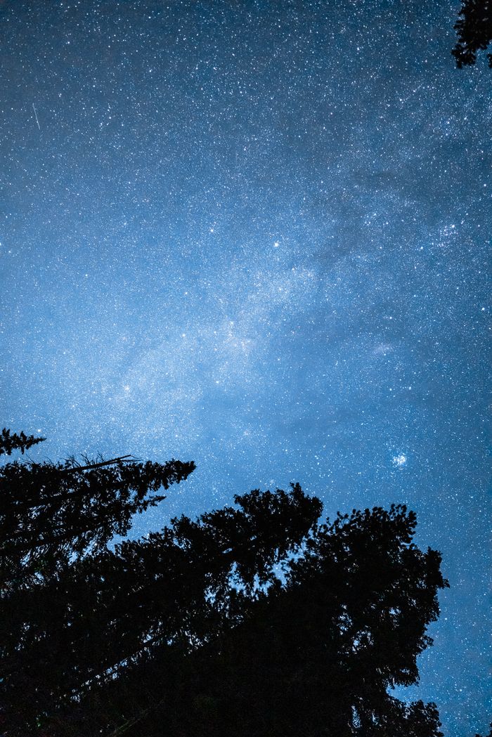 Home A breathtaking view of a star-filled night sky with silhouetted trees beneath.